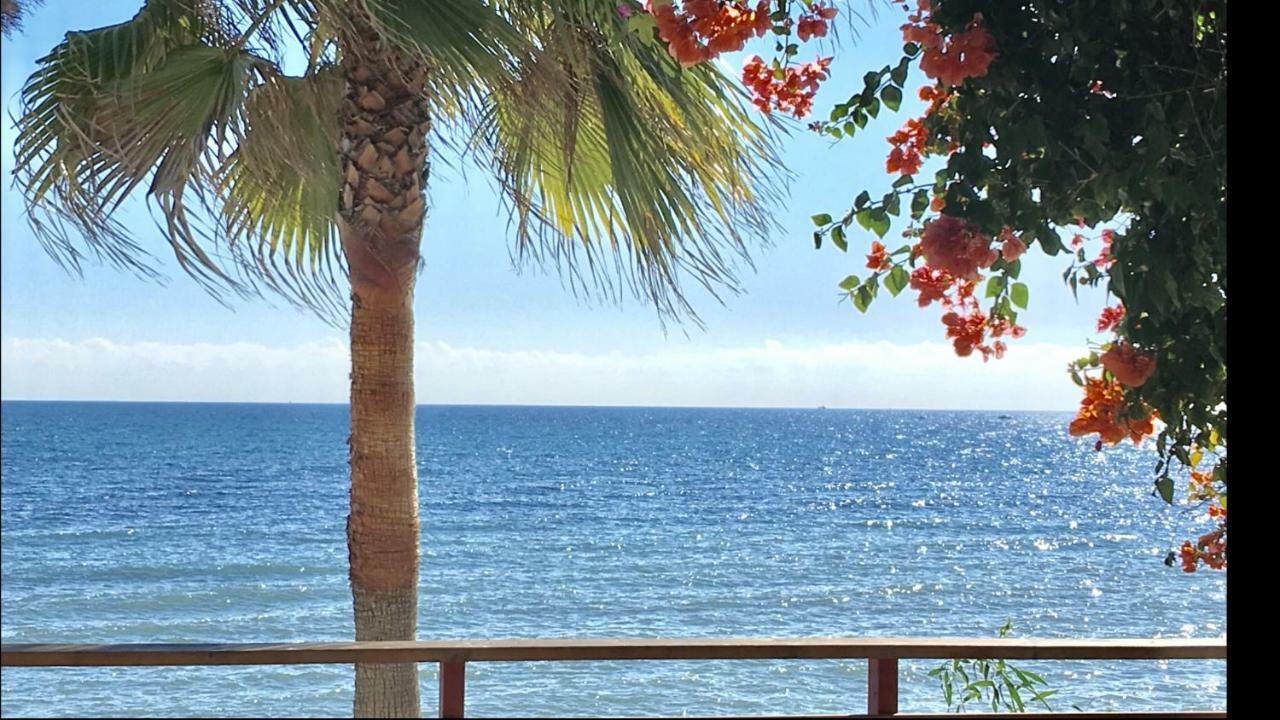 Mi Capricho A16 Beachfront Apartment Ситио-де-Калаонда Экстерьер фото